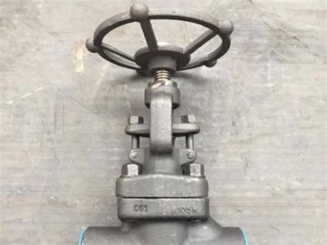 Forged Valve vs Casting Valve 